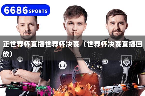 正世界杯直播世界杯决赛（世界杯决赛直播回放）